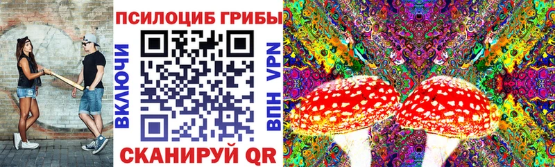 Псилоцибиновые грибы мицелий как найти Крым